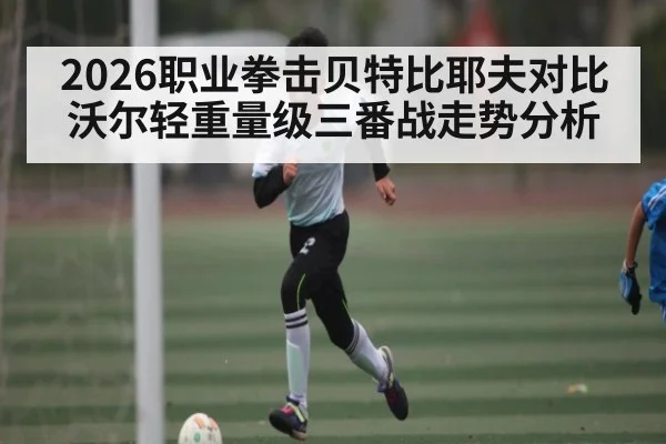 2026职业拳击贝特比耶夫对比沃尔轻重量级三番战走势分析